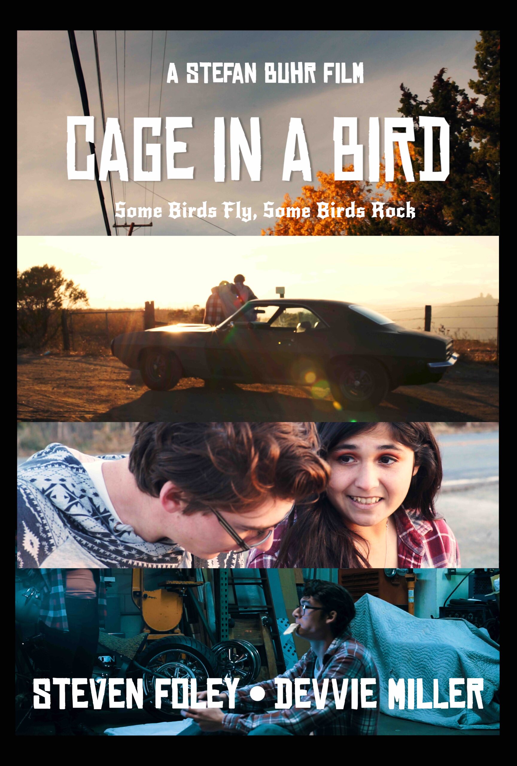 Cage in a Bird Poster