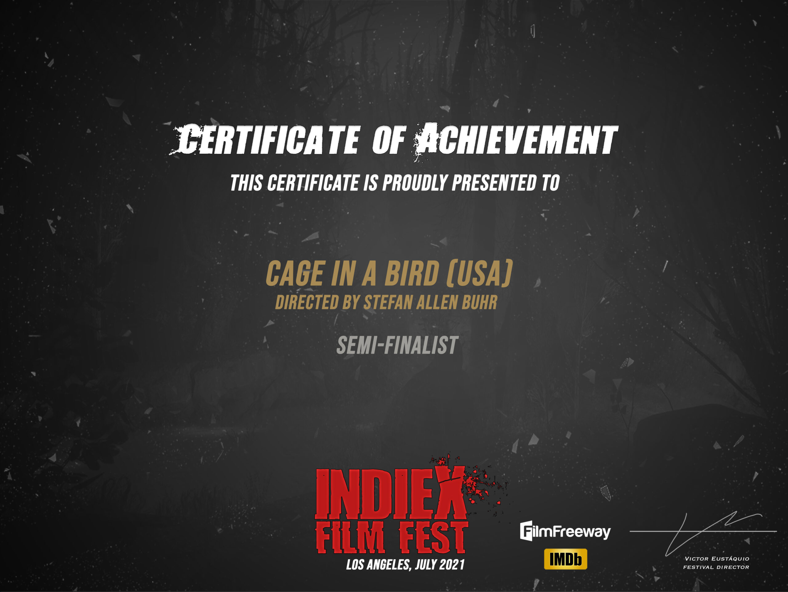 IndieX Certificate